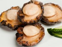 Blacklip abalone meat